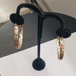 Brazilian Gold Plated Hoop Earring